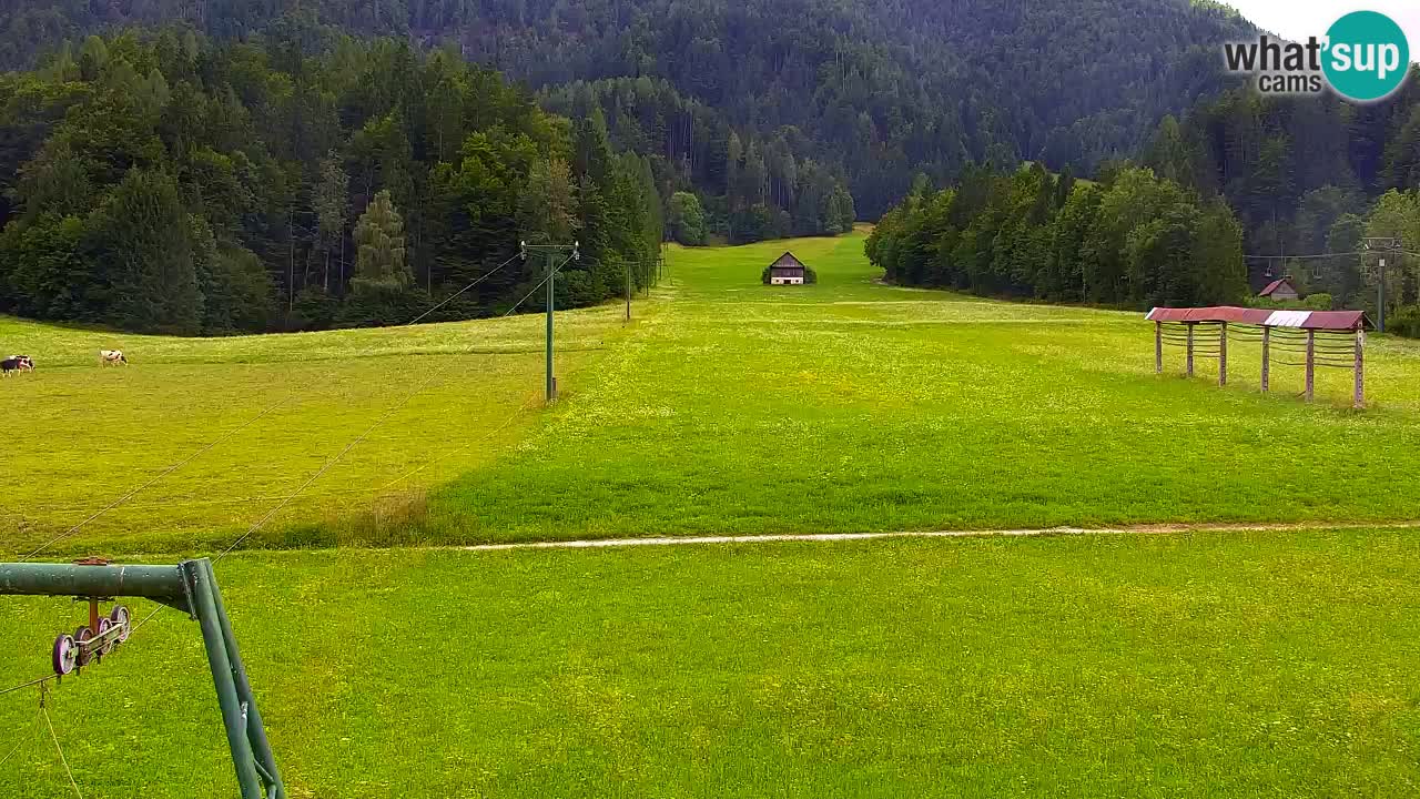 Ski Kranjska Gora | Velika Dolina