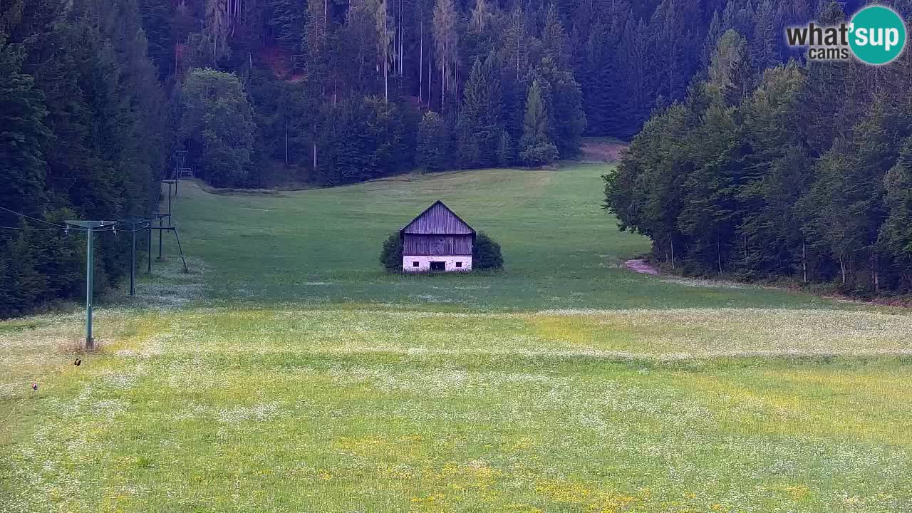 Skigebiet Kranjska Gora | Velika Dolina