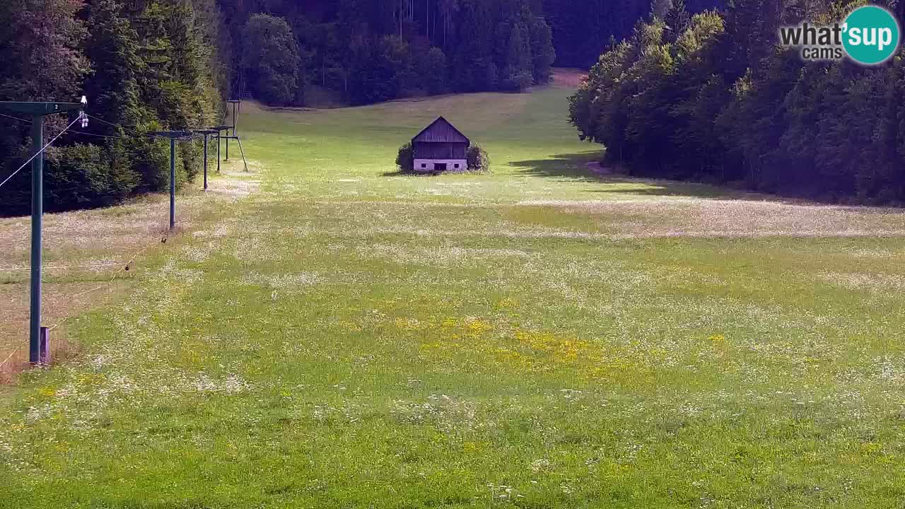 Estación de esquí Kranjska Gora | Velika Dolina
