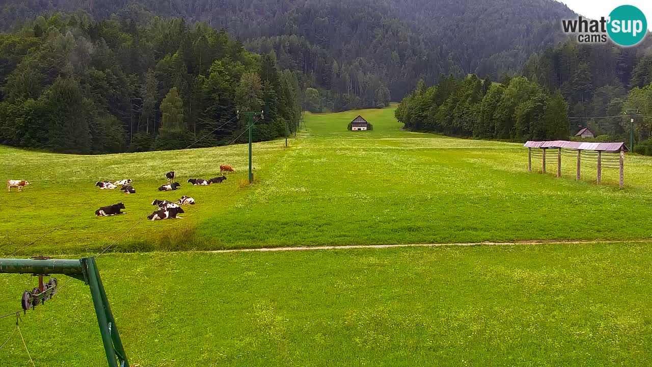 Ski Kranjska Gora | Velika Dolina