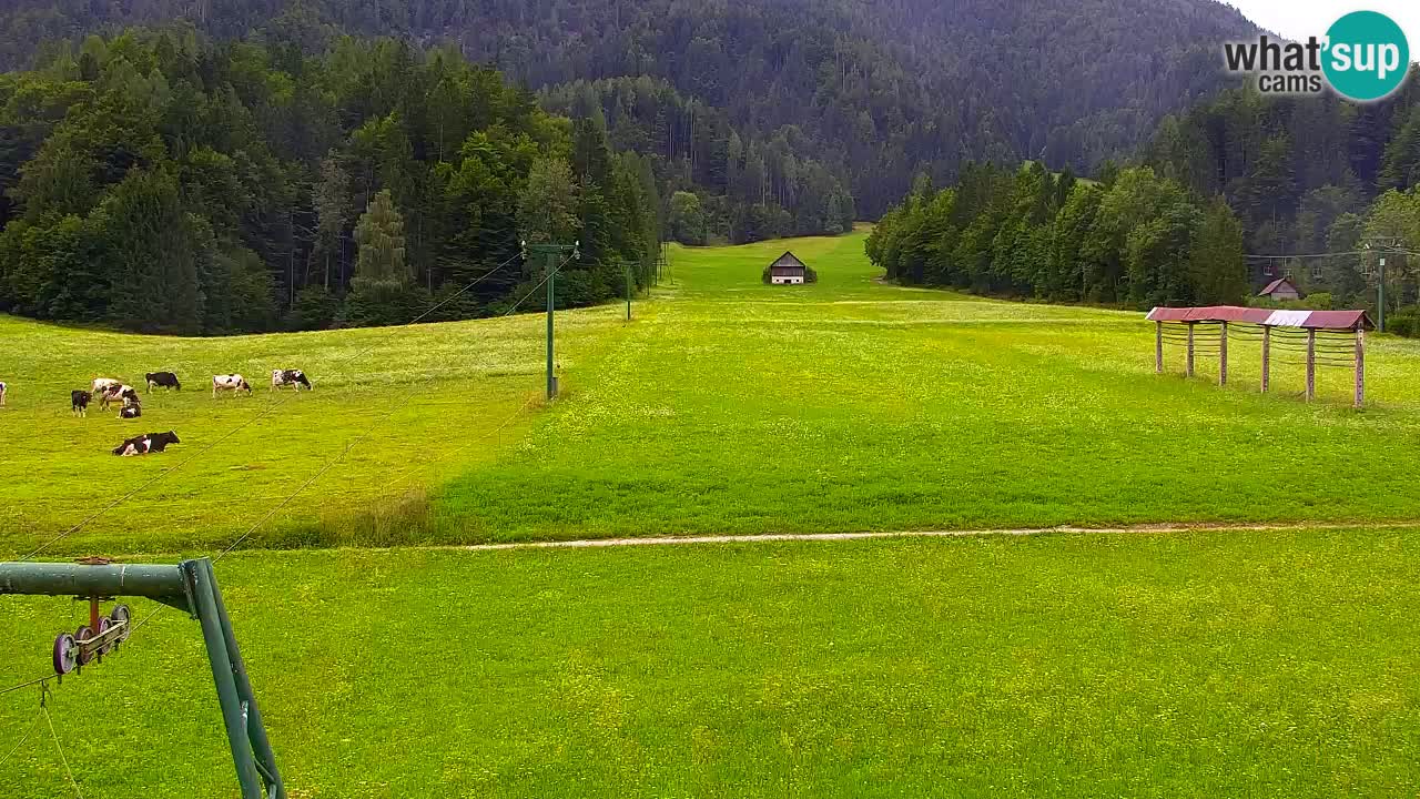 Ski Kranjska Gora | Velika Dolina