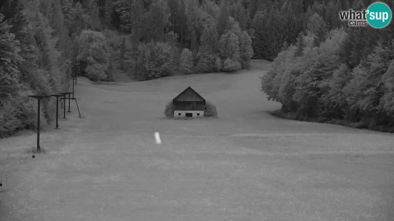 Ski Kranjska Gora | Velika Dolina
