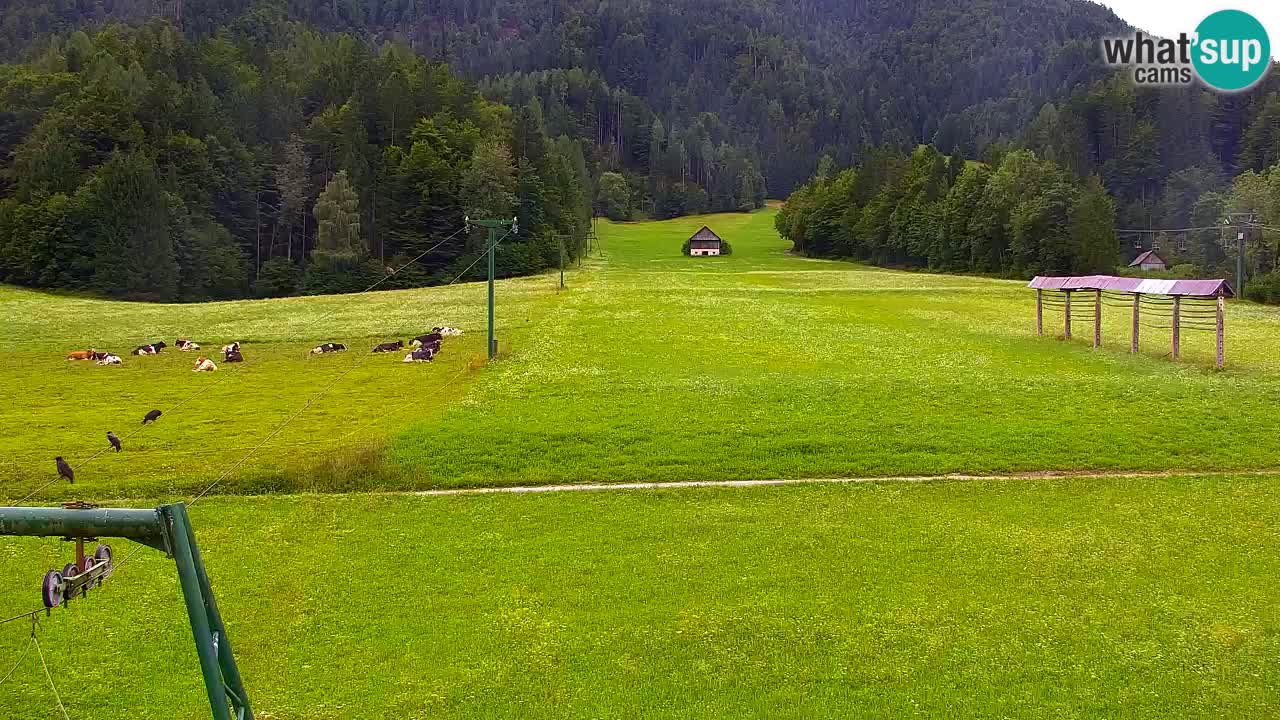 Skigebiet Kranjska Gora | Velika Dolina