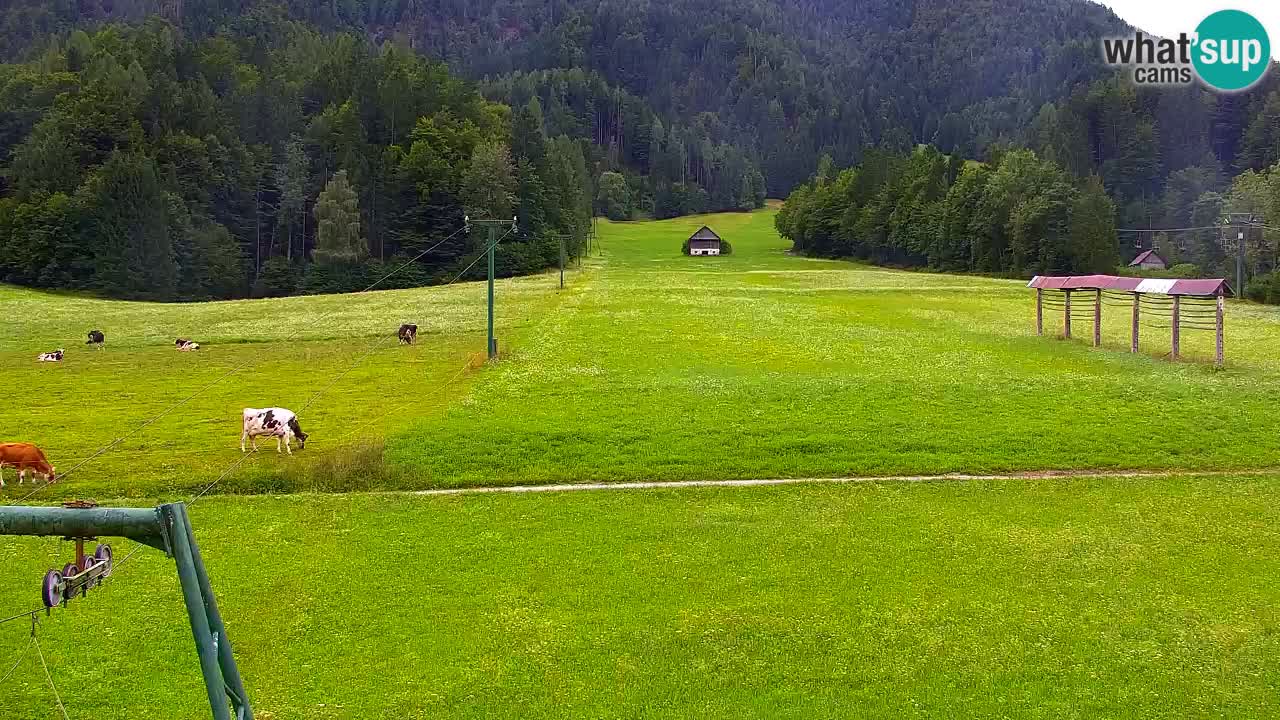 Kranjska Gora | Velika Dolina