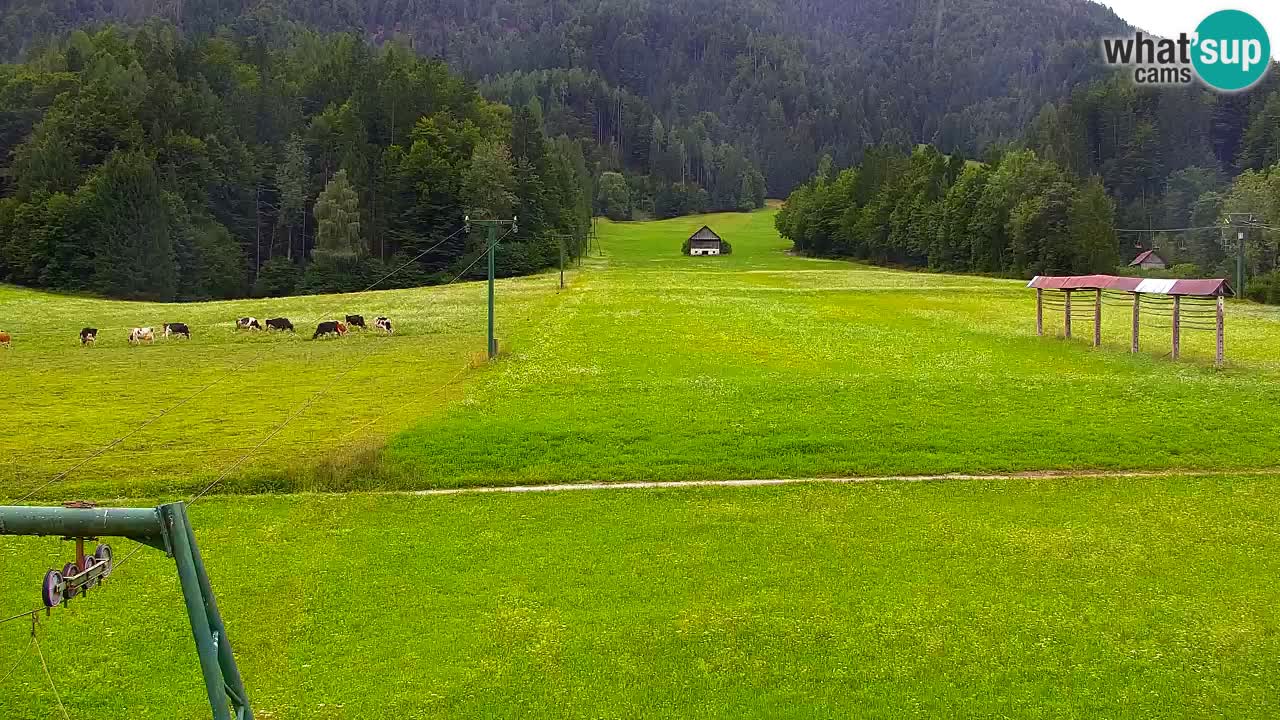 Ski Kranjska Gora | Velika Dolina