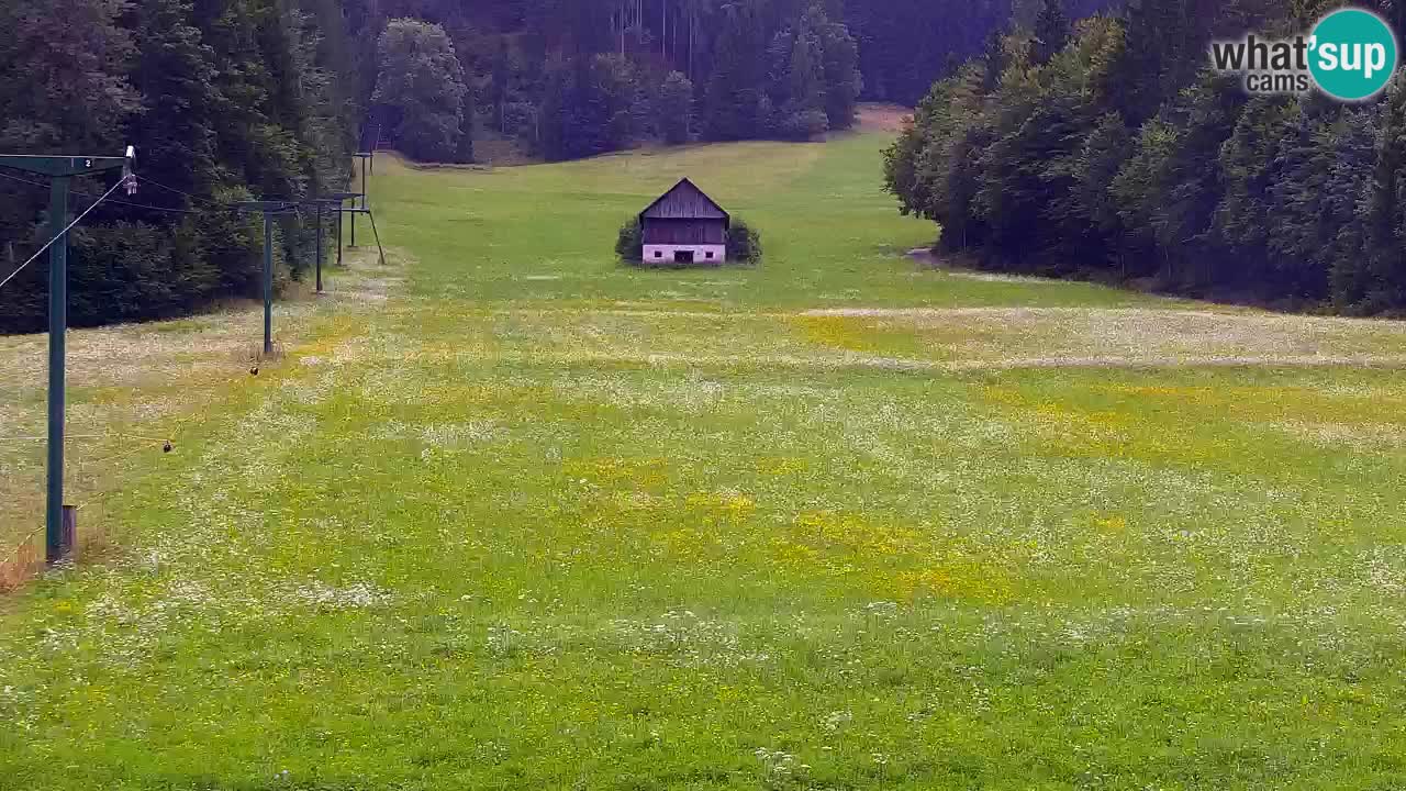 Skigebiet Kranjska Gora | Velika Dolina
