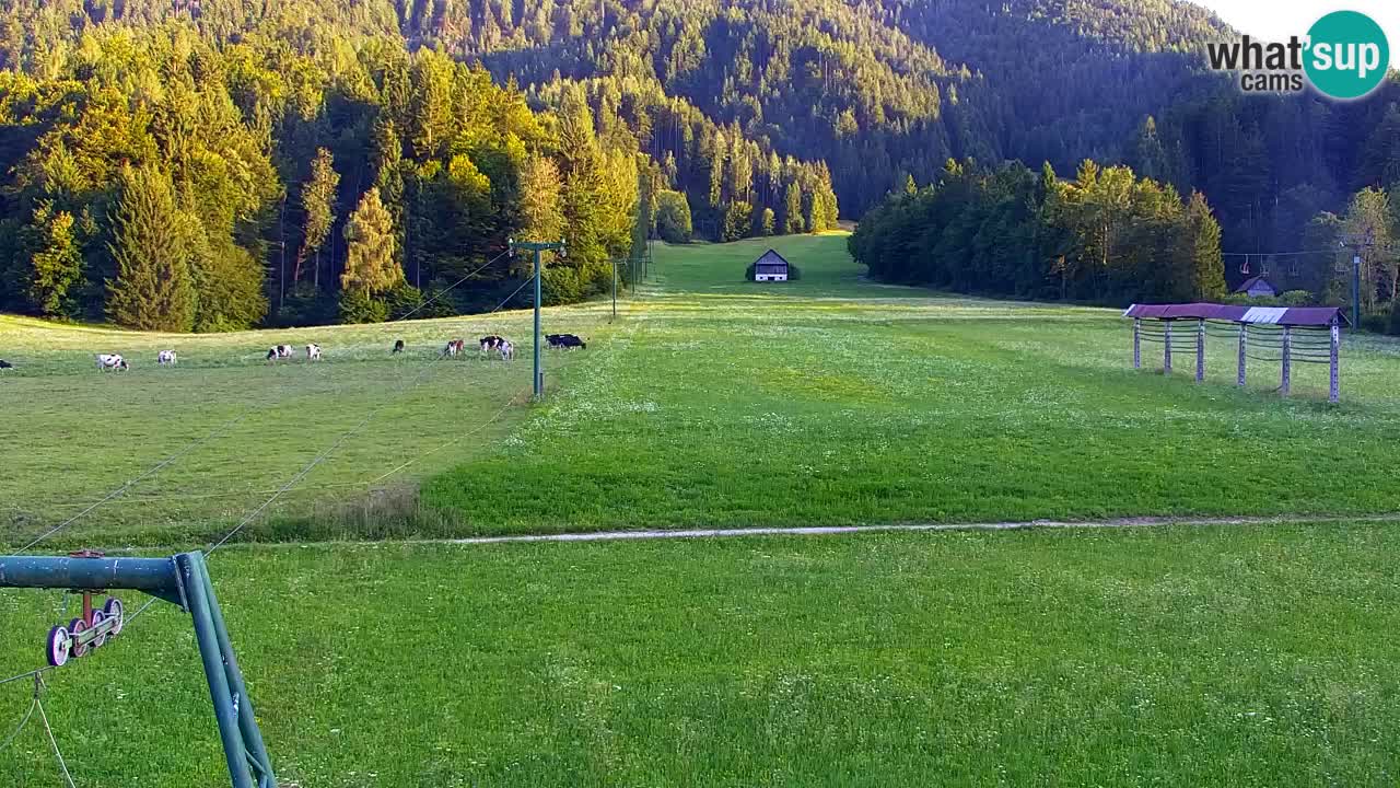 Skigebiet Kranjska Gora | Velika Dolina
