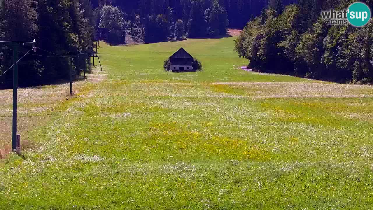 Ski Kranjska Gora | Velika Dolina