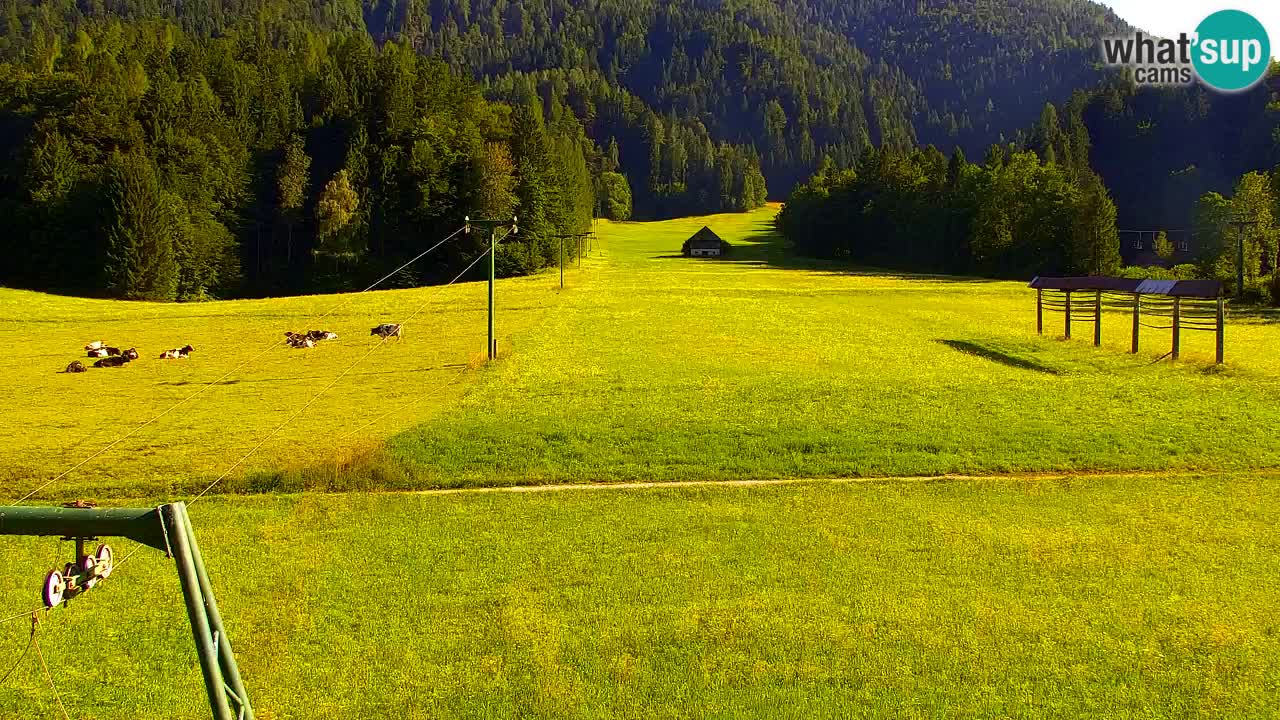 Ski Kranjska Gora | Velika Dolina