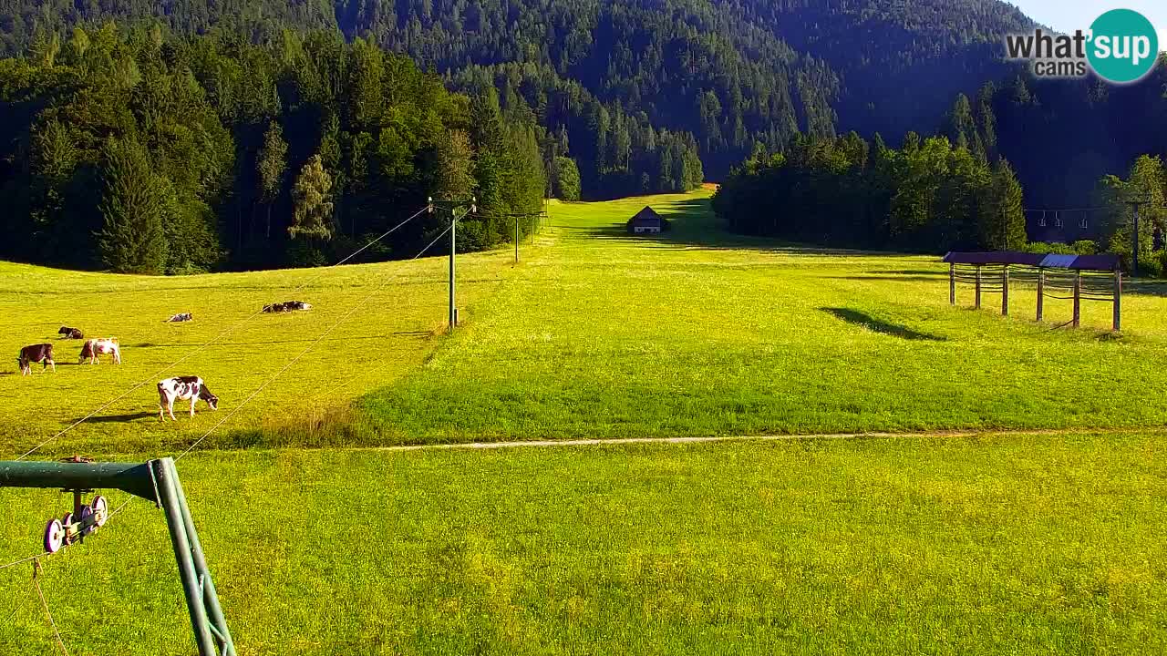 Ski Kranjska Gora | Velika Dolina