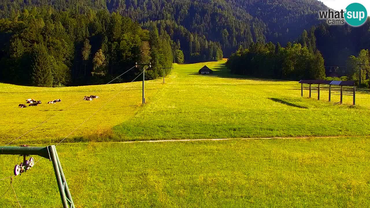Ski Kranjska Gora | Velika Dolina