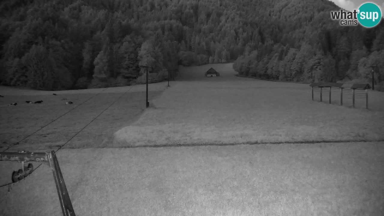 Skigebiet Kranjska Gora | Velika Dolina