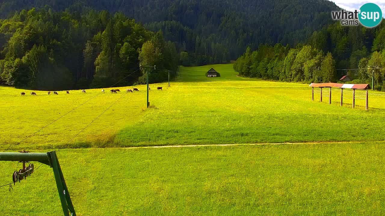 Skigebiet Kranjska Gora | Velika Dolina