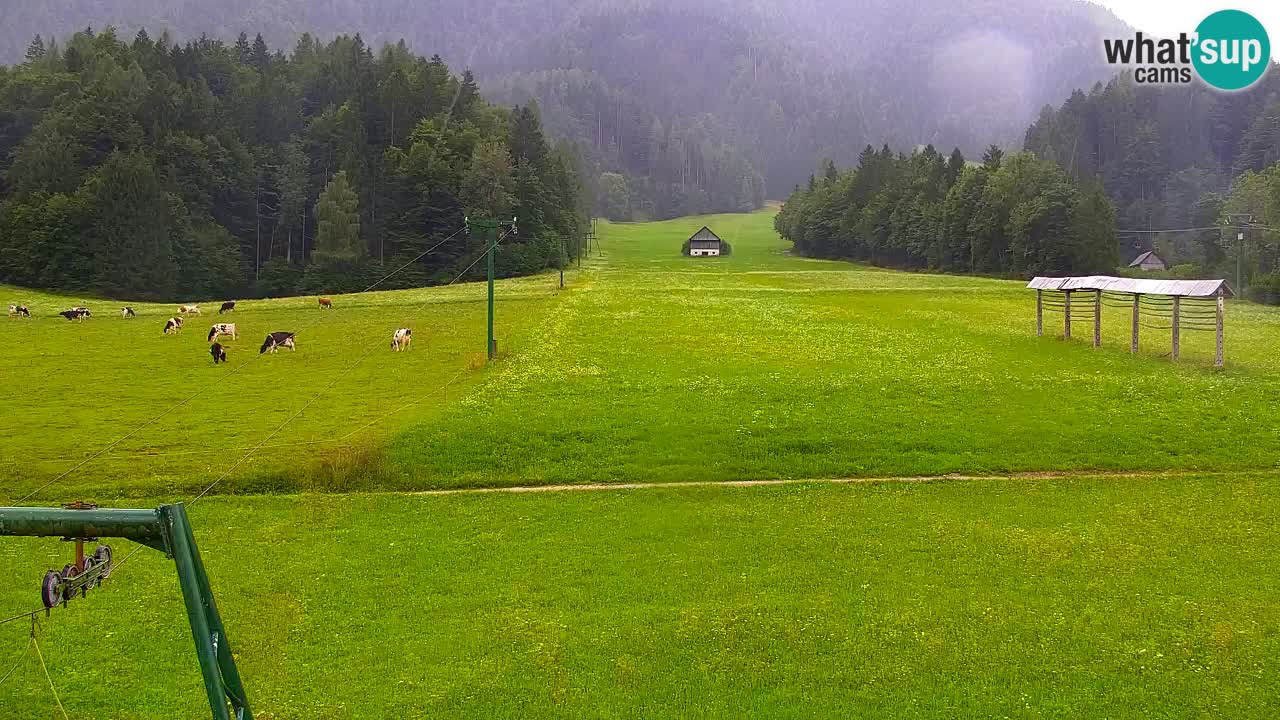 Station de ski Kranjska Gora | Velika Dolina