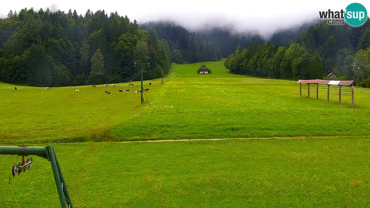 RTC Kranjska Gora | Velika Dolina