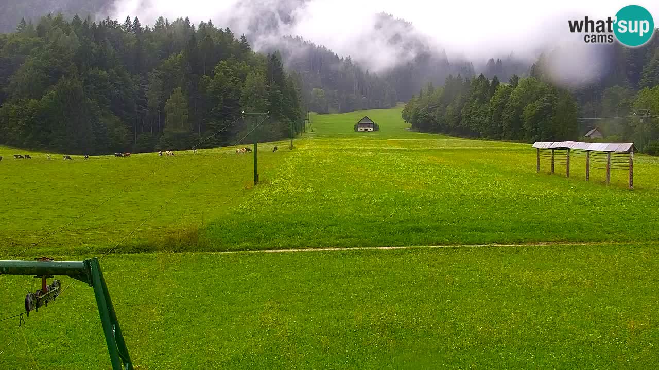 Skigebiet Kranjska Gora | Velika Dolina