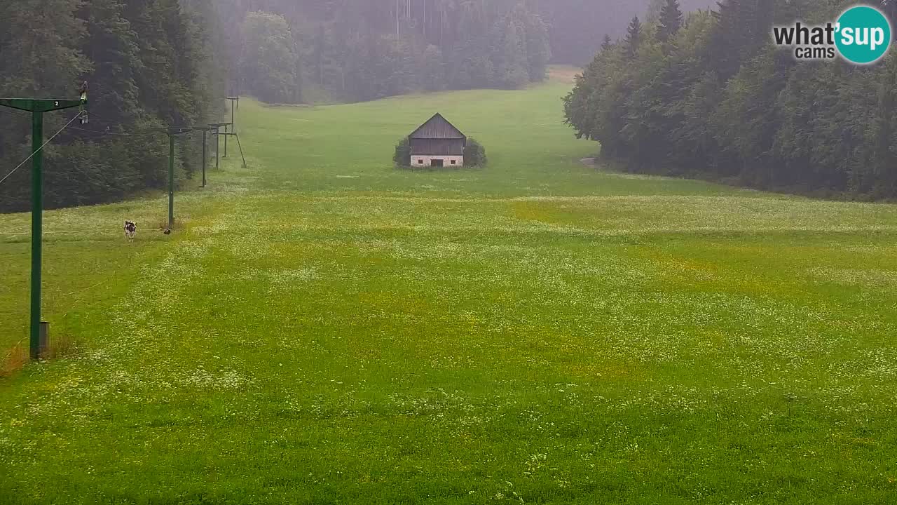 Skigebiet Kranjska Gora | Velika Dolina