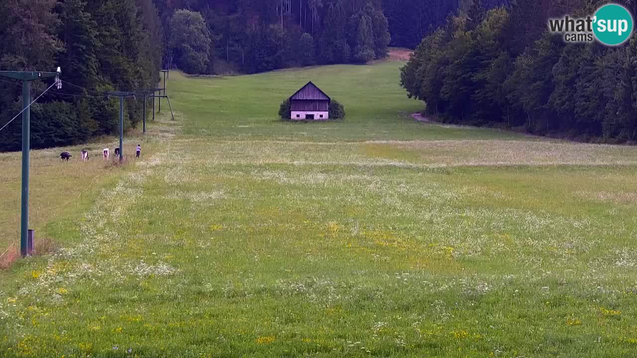 Ski Kranjska Gora | Velika Dolina