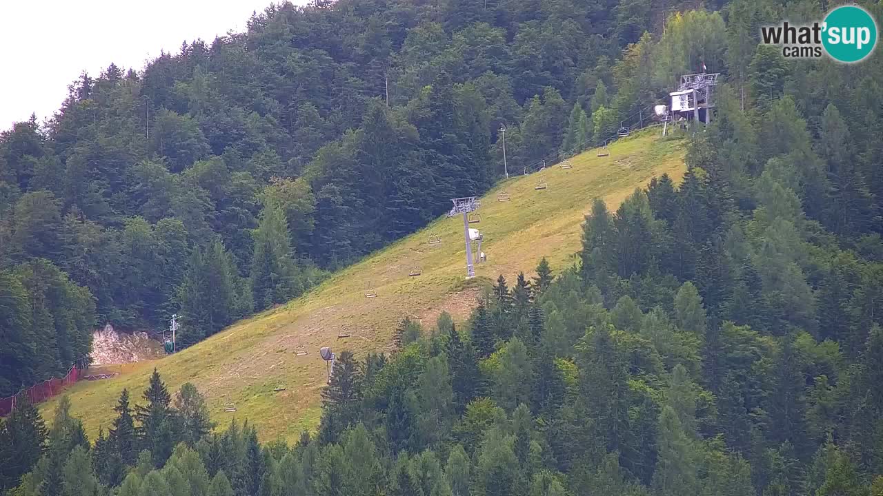 Ski Kranjska Gora | Velika Dolina