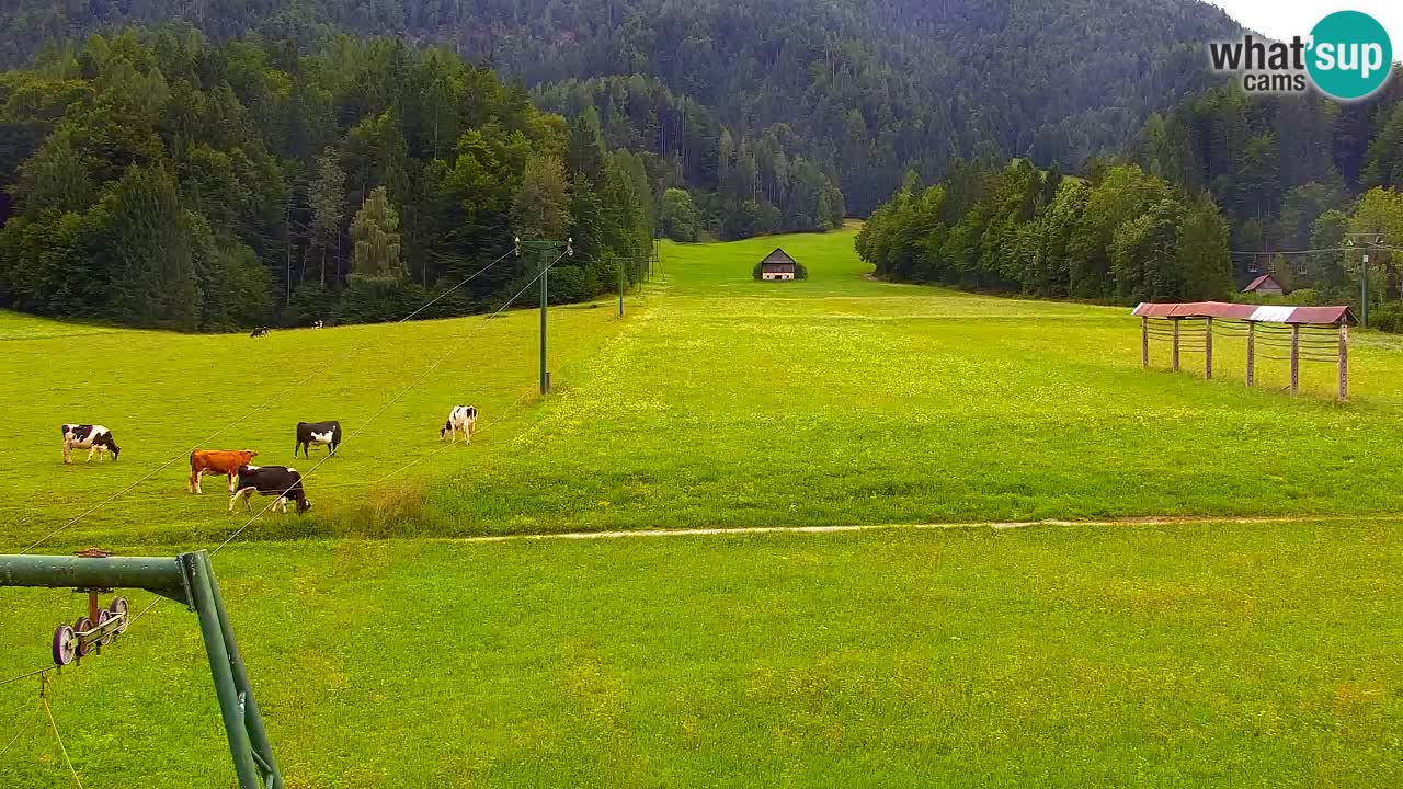 Ski Kranjska Gora | Velika Dolina
