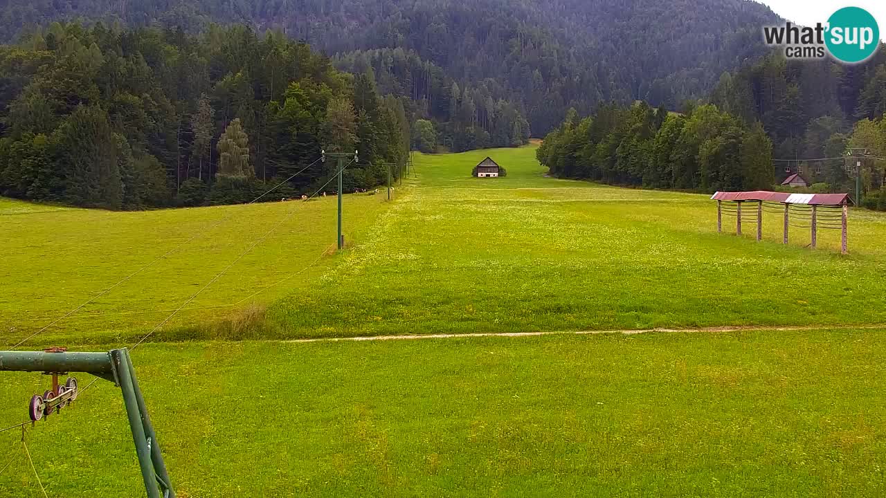Ski Kranjska Gora | Velika Dolina