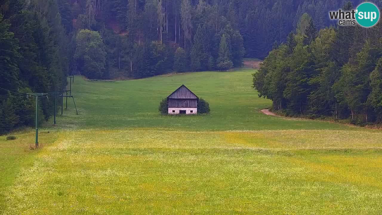 Ski Kranjska Gora | Velika Dolina