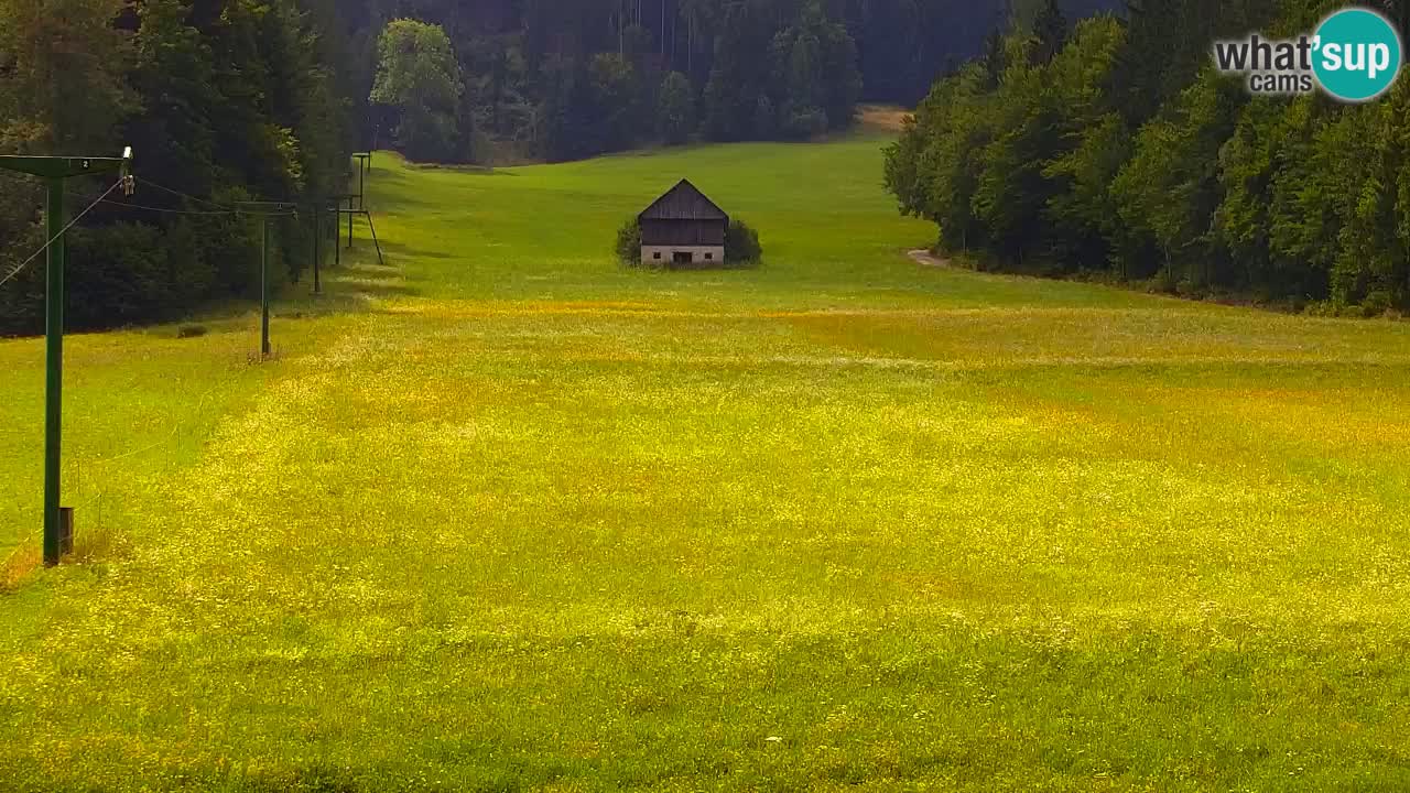 RTC Kranjska Gora | Velika Dolina