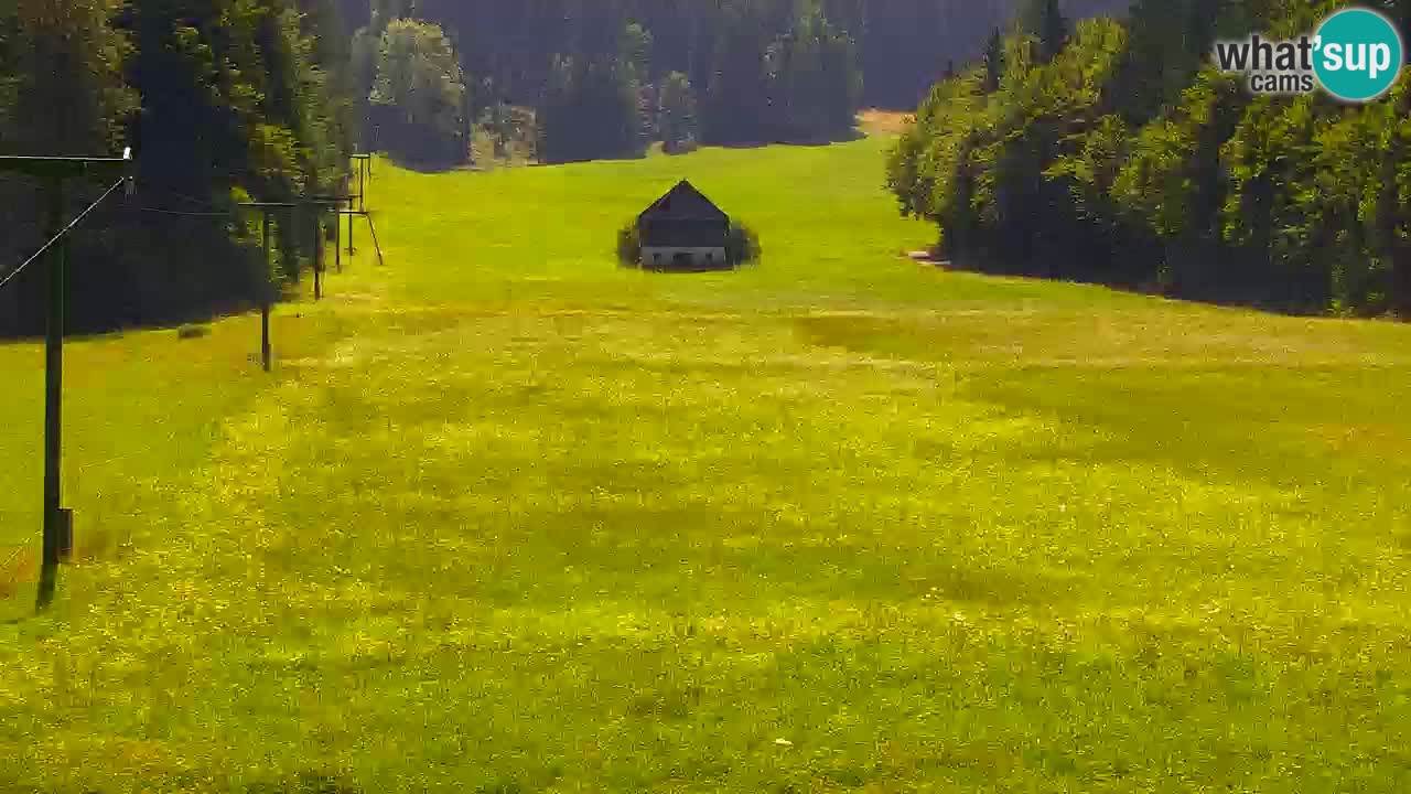 Skijanje Kranjska Gora | Velika Dolina