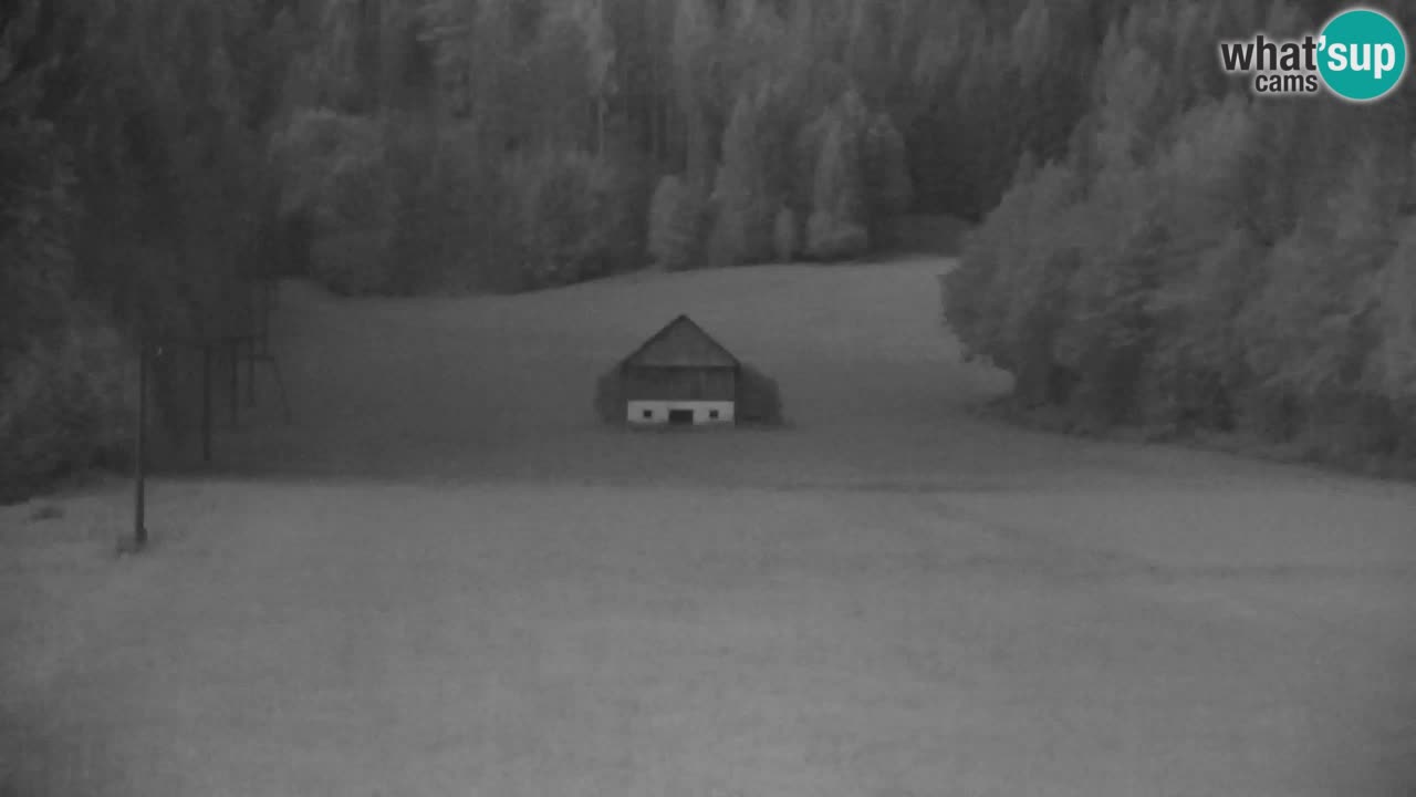 Ski Kranjska Gora | Velika Dolina