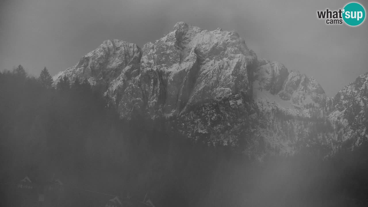 Skigebiet Kranjska Gora | Velika Dolina