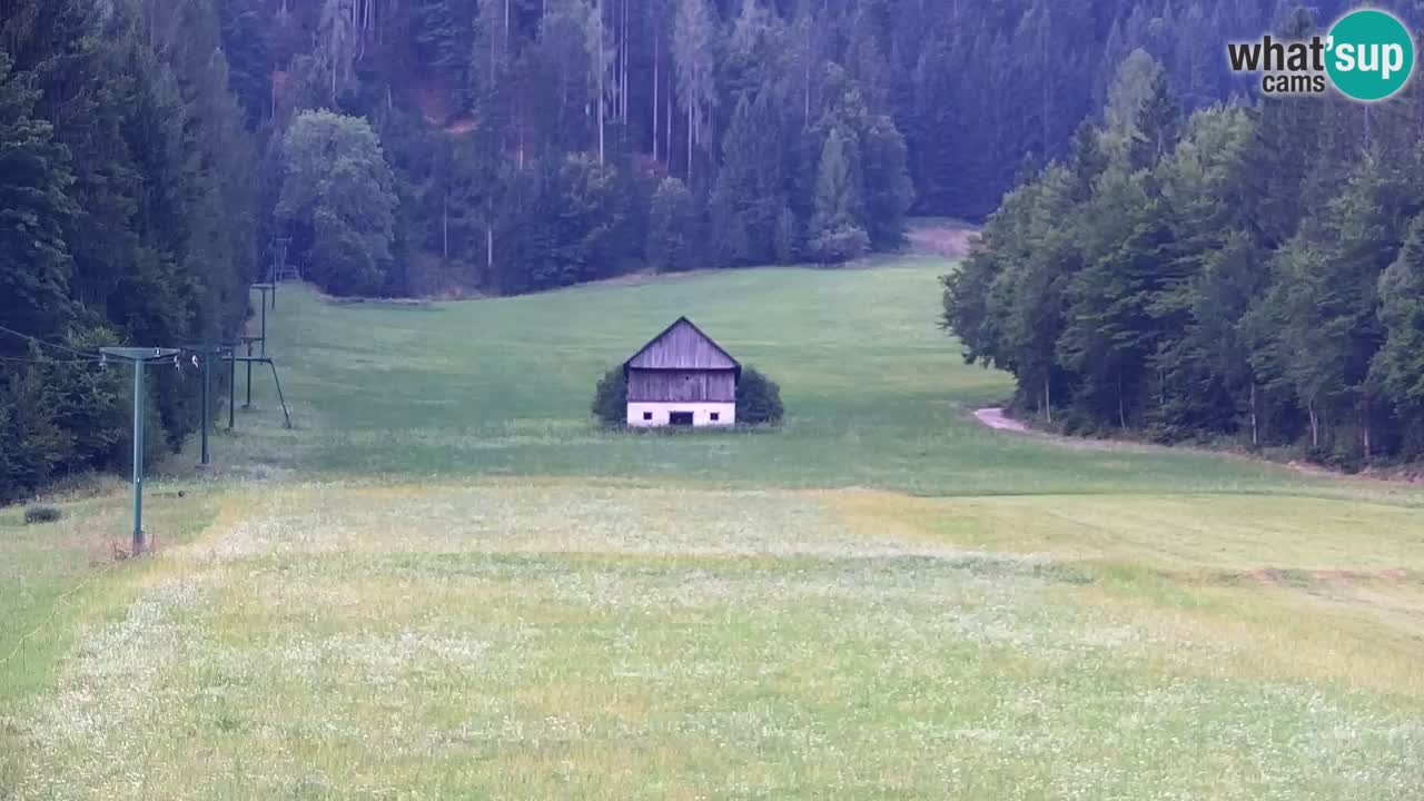 Ski Kranjska Gora | Velika Dolina