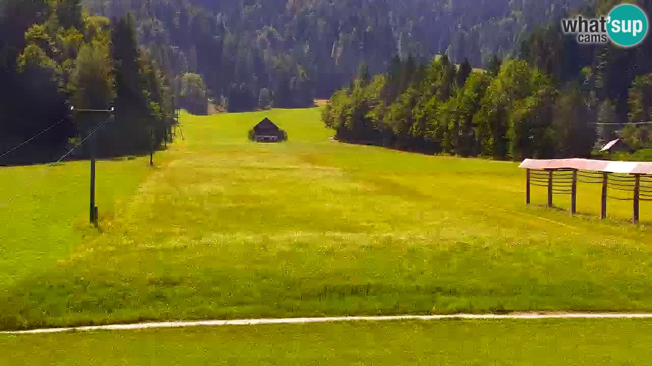 Ski Kranjska Gora | Velika Dolina