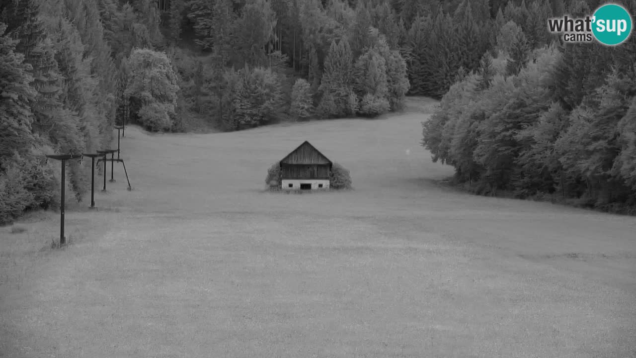 Skigebiet Kranjska Gora | Velika Dolina