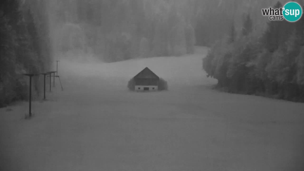 RTC Kranjska Gora | Velika Dolina