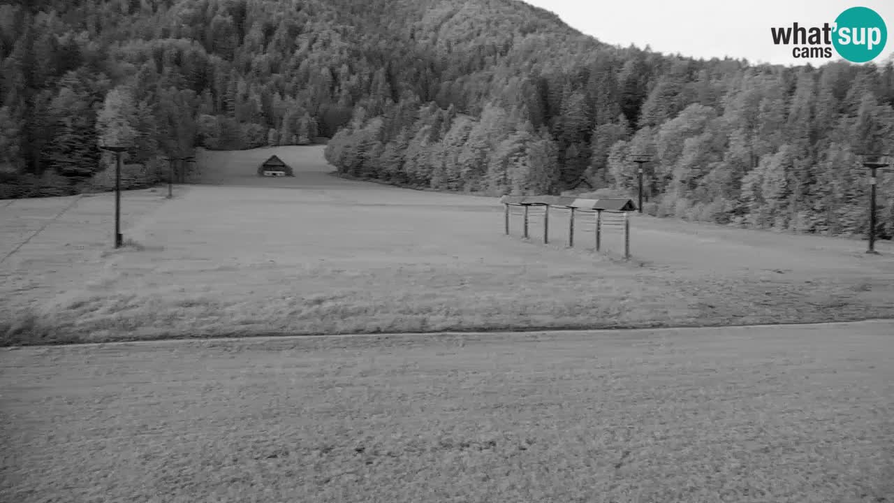Skigebiet Kranjska Gora | Velika Dolina