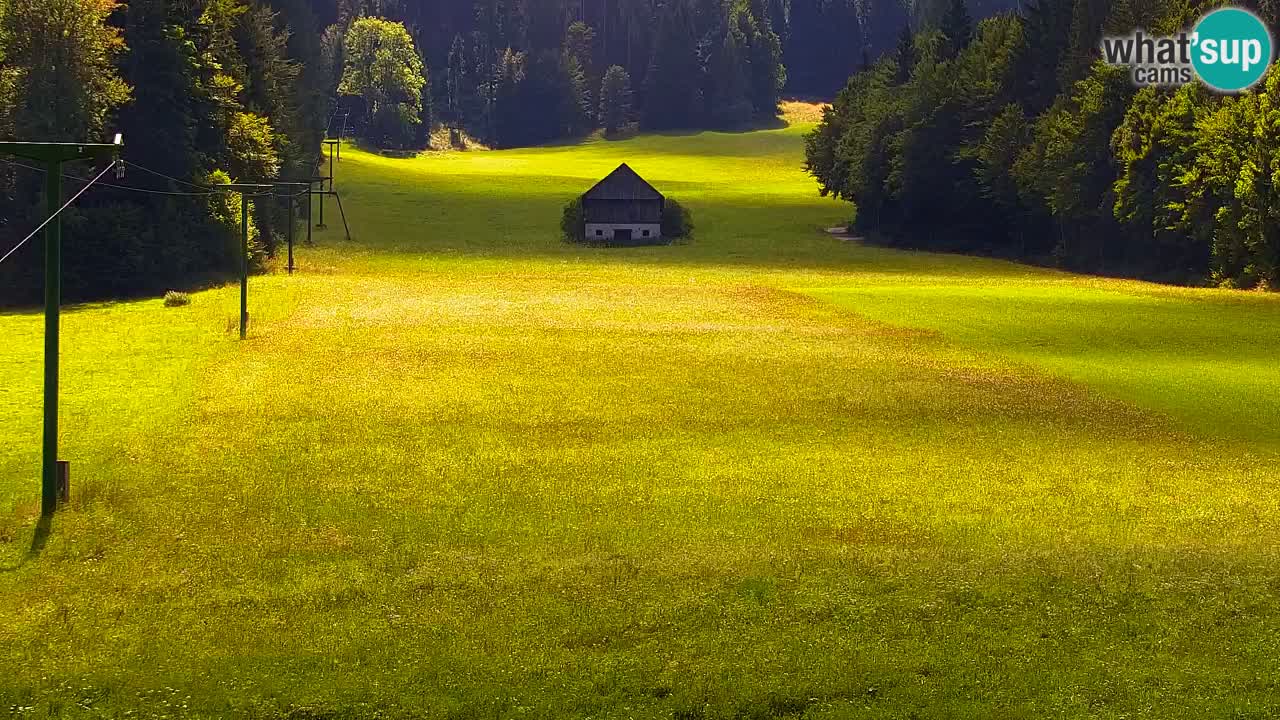 Skigebiet Kranjska Gora | Velika Dolina