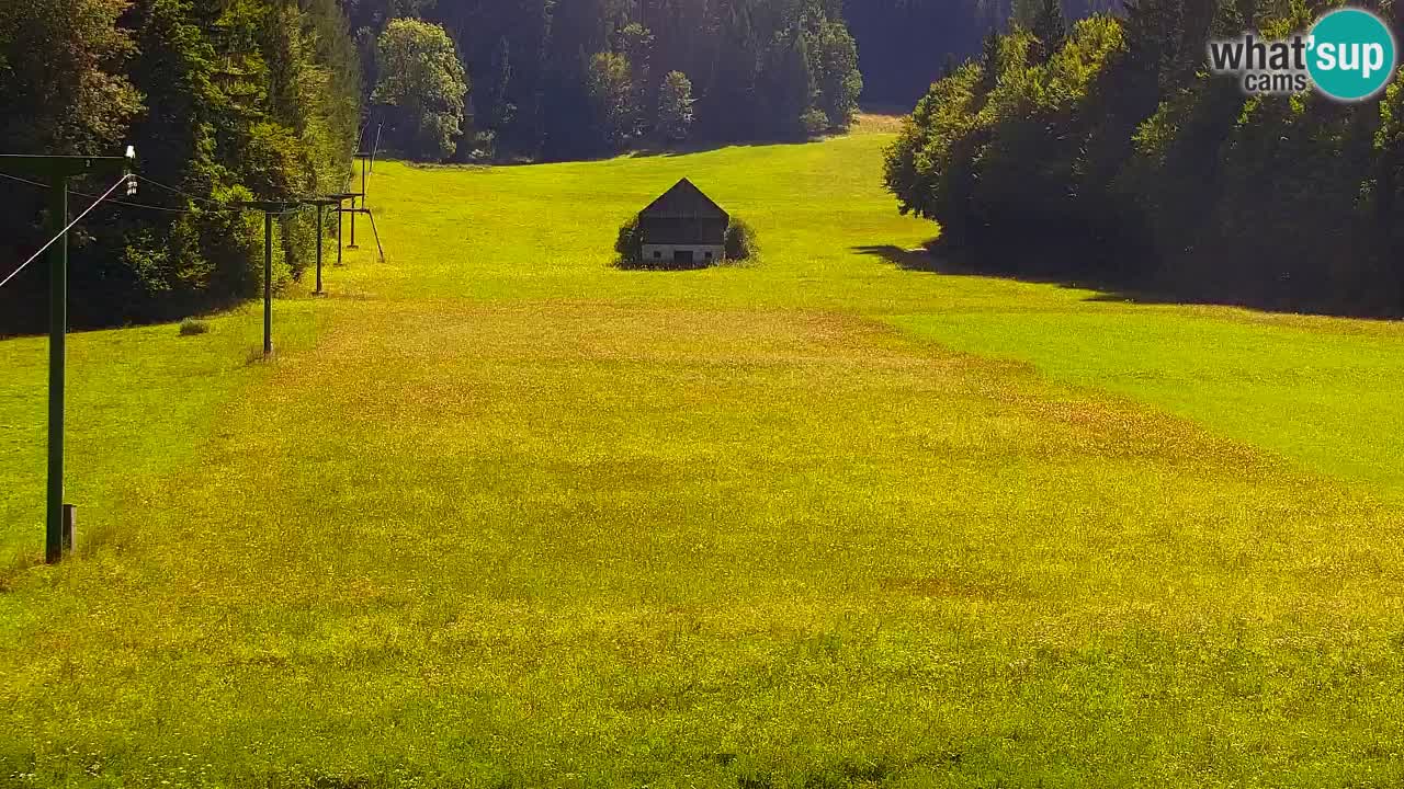 Skigebiet Kranjska Gora | Velika Dolina