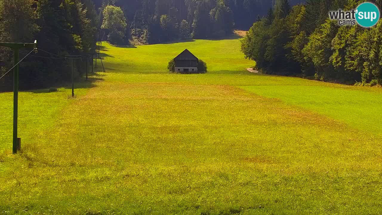 Ski Kranjska Gora | Velika Dolina