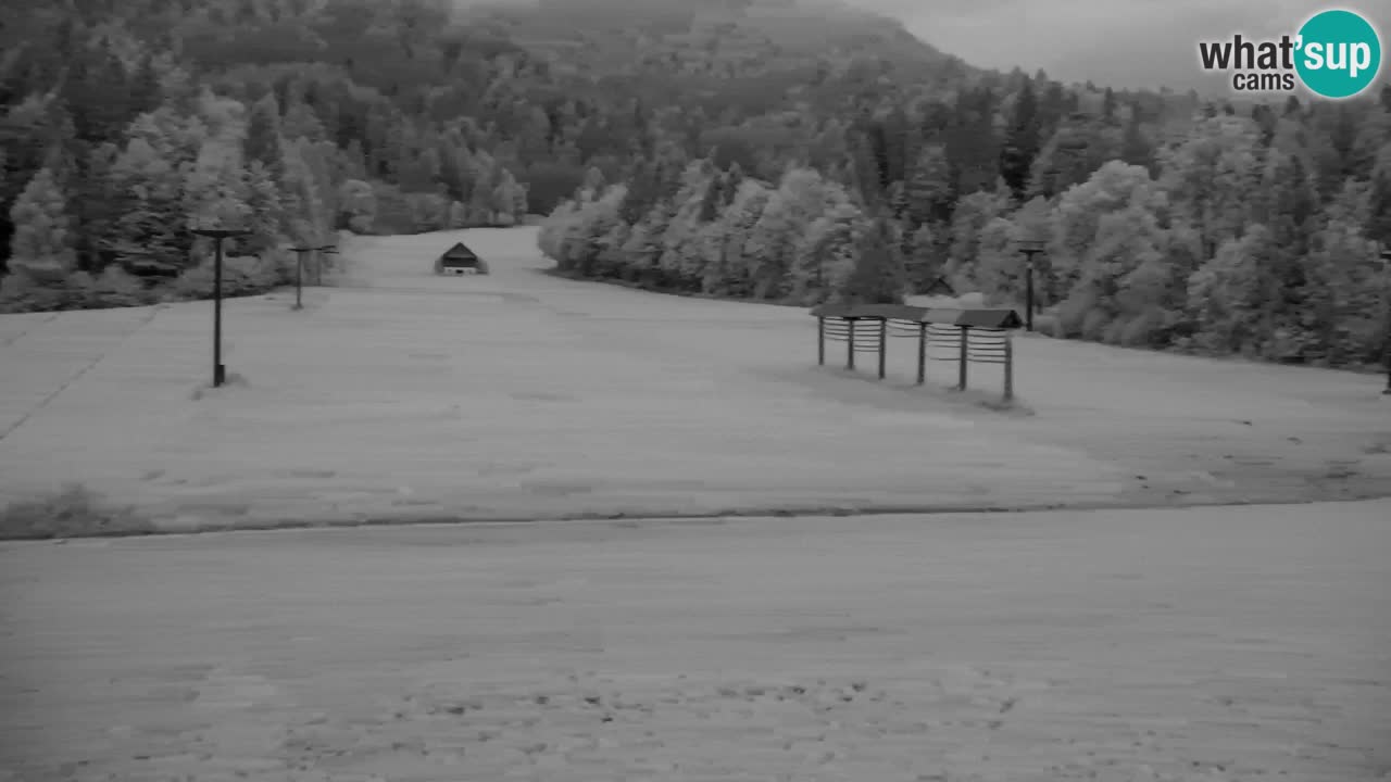 RTC Kranjska Gora | Velika Dolina