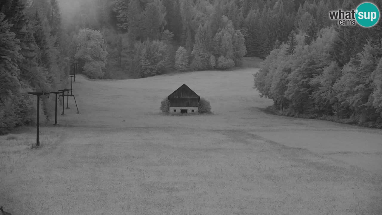 Skigebiet Kranjska Gora | Velika Dolina