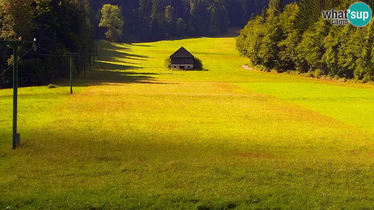 Skigebiet Kranjska Gora | Velika Dolina