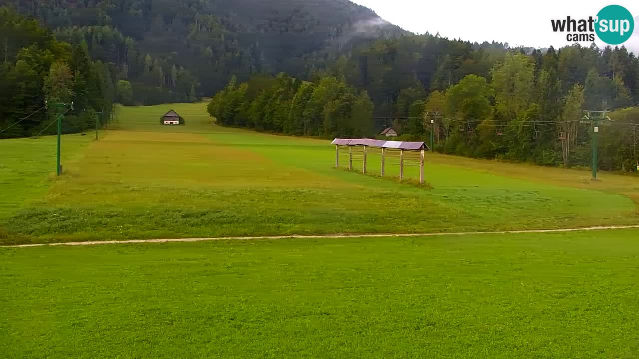 Skigebiet Kranjska Gora | Velika Dolina