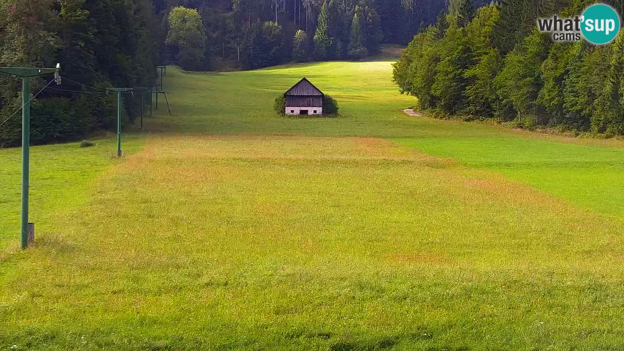 Skigebiet Kranjska Gora | Velika Dolina