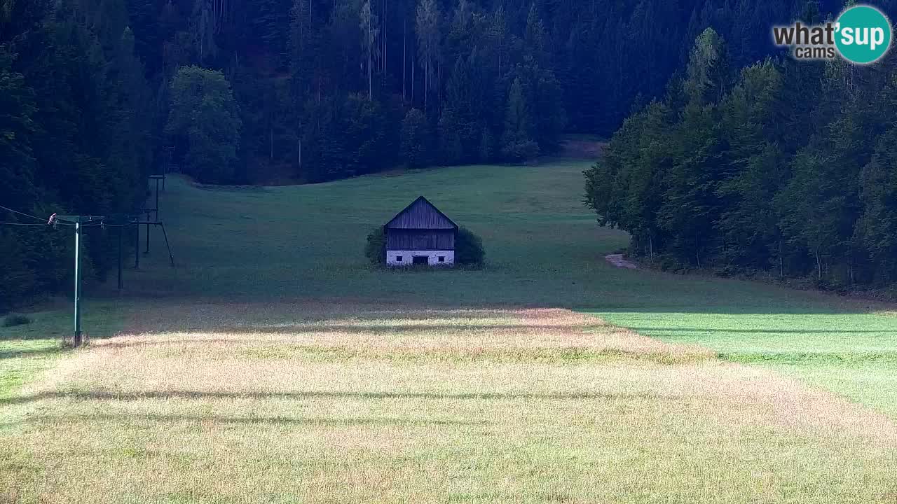 Skigebiet Kranjska Gora | Velika Dolina