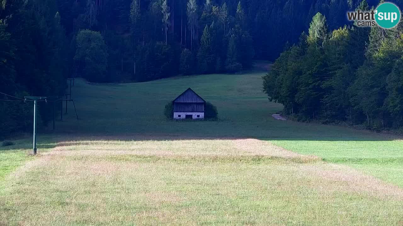 Ski Kranjska Gora | Velika Dolina