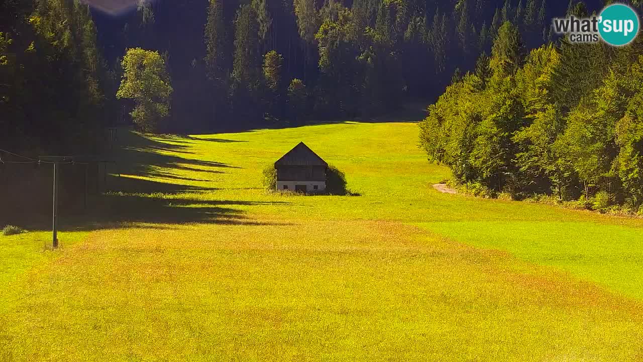 Ski Kranjska Gora | Velika Dolina