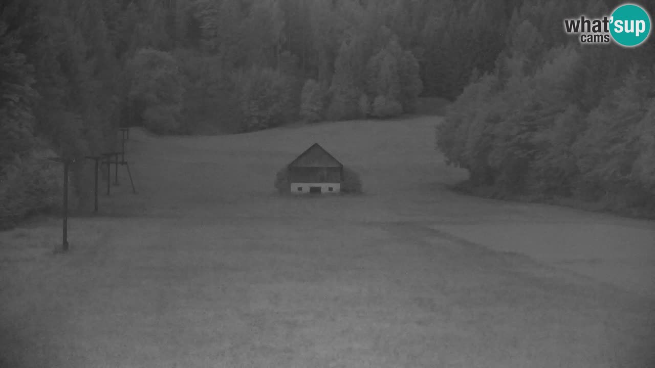 Ski Kranjska Gora | Velika Dolina