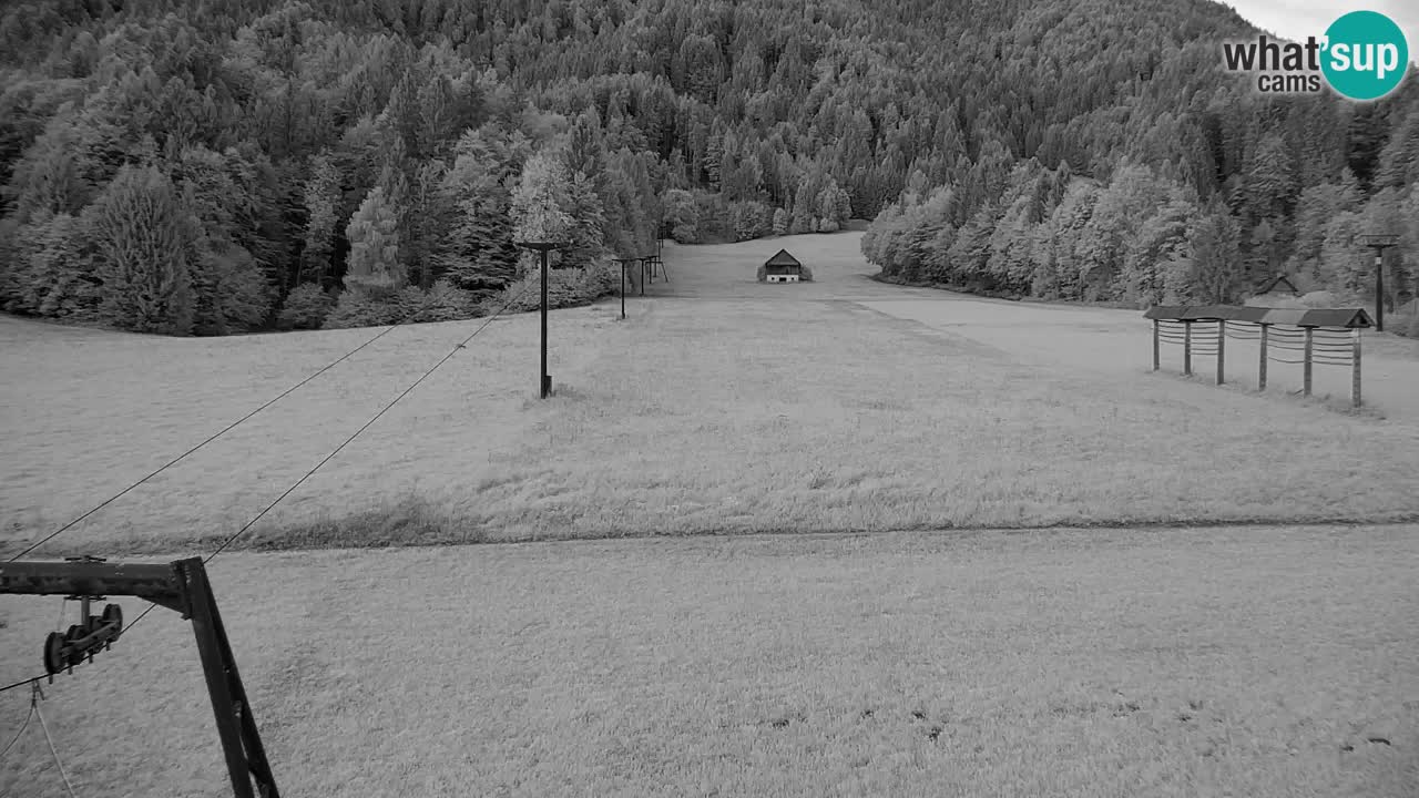 Ski Kranjska Gora | Velika Dolina