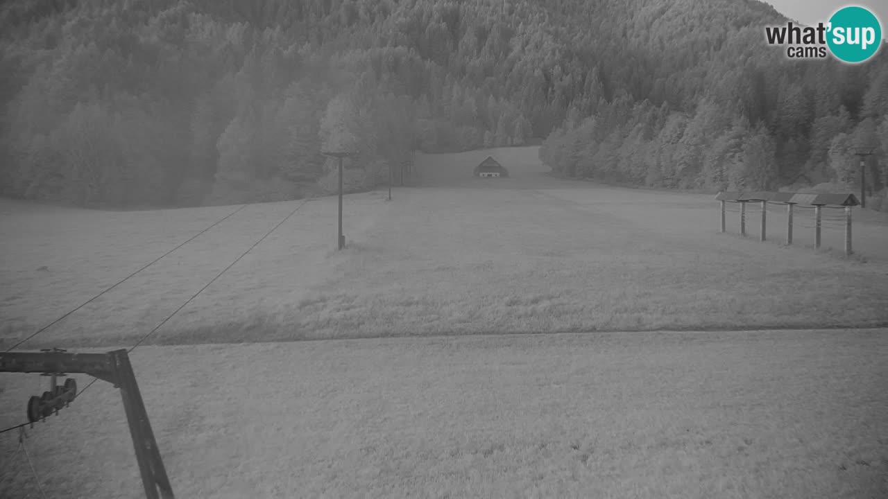Skigebiet Kranjska Gora | Velika Dolina