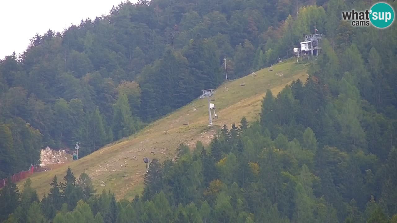 Ski Kranjska Gora | Velika Dolina